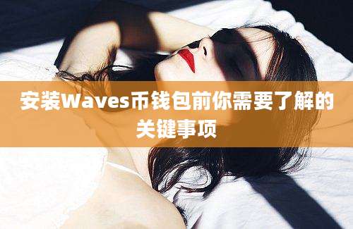 安装Waves币钱包前你需要了解的关键事项