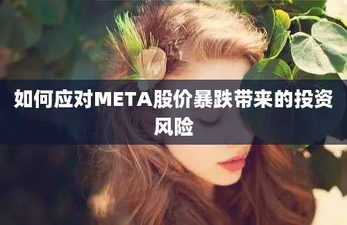 如何应对META股价暴跌带来的投资风险