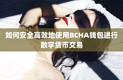 如何安全高效地使用BCHA钱包进行数字货币交易