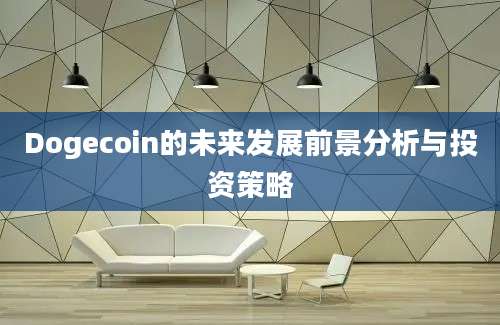 Dogecoin的未来发展前景分析与投资策略