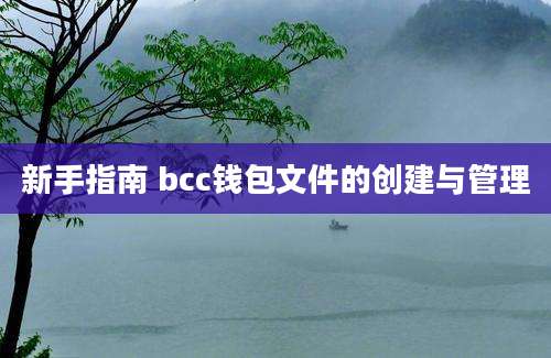 新手指南 bcc钱包文件的创建与管理