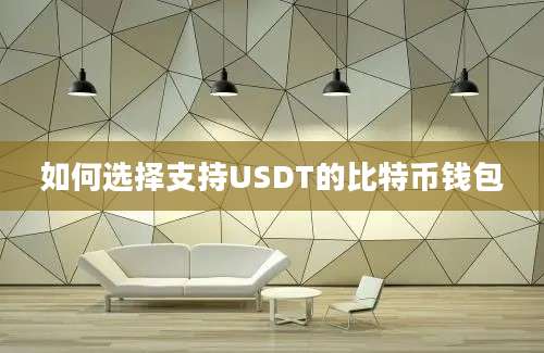 如何选择支持USDT的比特币钱包