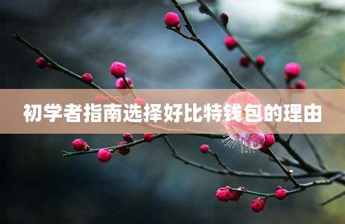 初学者指南选择好比特钱包的理由