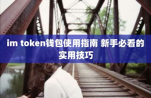 im token钱包使用指南 新手必看的实用技巧