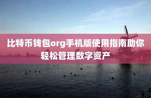 比特币钱包org手机版使用指南助你轻松管理数字资产