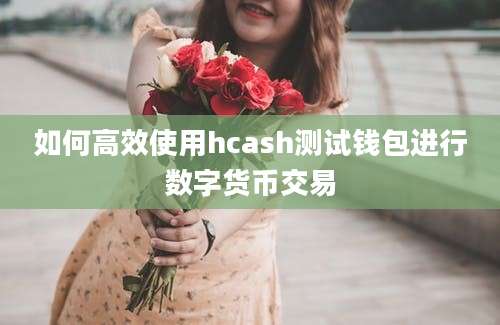 如何高效使用hcash测试钱包进行数字货币交易