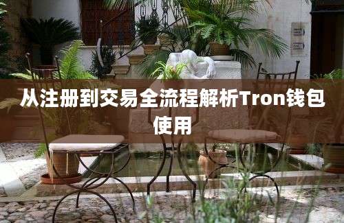 从注册到交易全流程解析Tron钱包使用