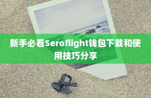 新手必看Seroflight钱包下载和使用技巧分享