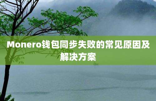 Monero钱包同步失败的常见原因及解决方案