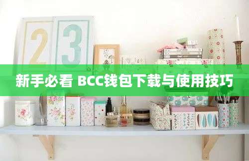 新手必看 BCC钱包下载与使用技巧