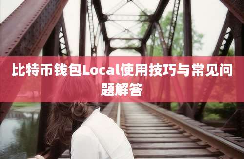 比特币钱包Local使用技巧与常见问题解答