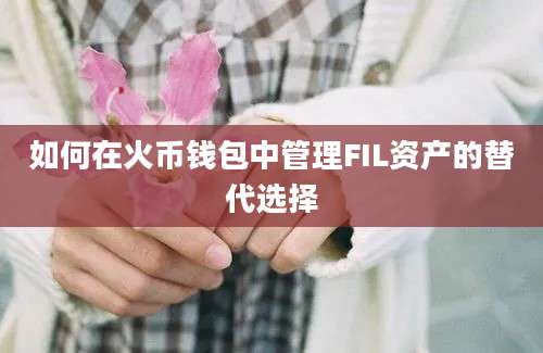 如何在火币钱包中管理FIL资产的替代选择