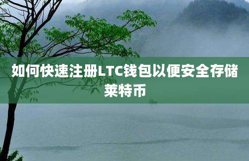 如何快速注册LTC钱包以便安全存储莱特币