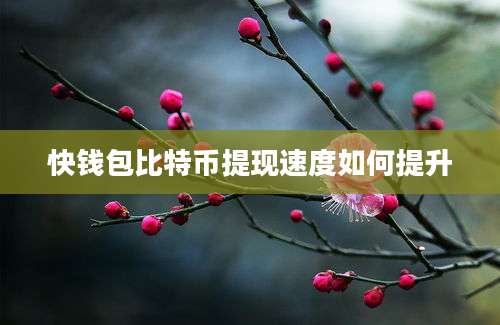 快钱包比特币提现速度如何提升