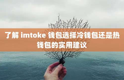 了解 imtoke 钱包选择冷钱包还是热钱包的实用建议