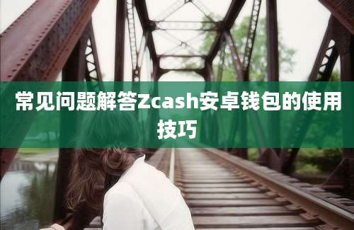 常见问题解答Zcash安卓钱包的使用技巧