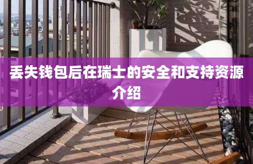 丢失钱包后在瑞士的安全和支持资源介绍