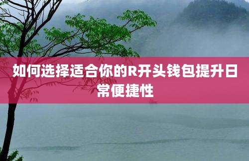 如何选择适合你的R开头钱包提升日常便捷性