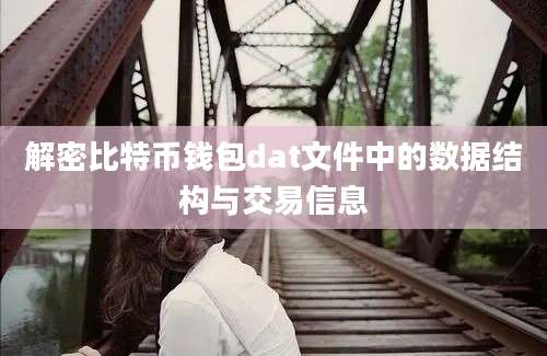 解密比特币钱包dat文件中的数据结构与交易信息