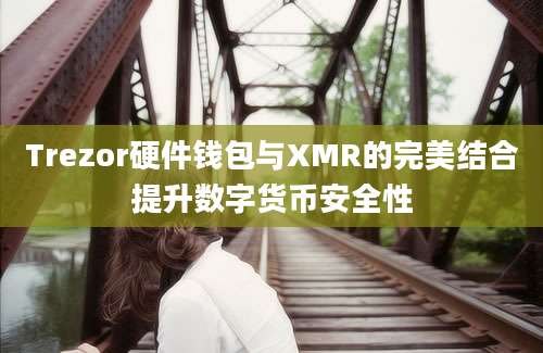 Trezor硬件钱包与XMR的完美结合提升数字货币安全性