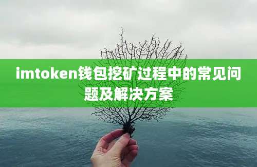 imtoken钱包挖矿过程中的常见问题及解决方案