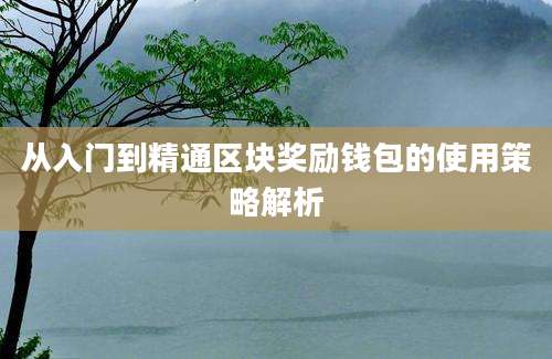 从入门到精通区块奖励钱包的使用策略解析