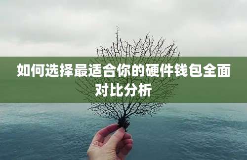 如何选择最适合你的硬件钱包全面对比分析