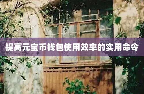 提高元宝币钱包使用效率的实用命令