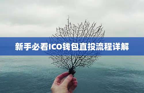 新手必看ICO钱包直投流程详解