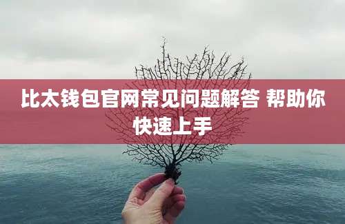 比太钱包官网常见问题解答 帮助你快速上手