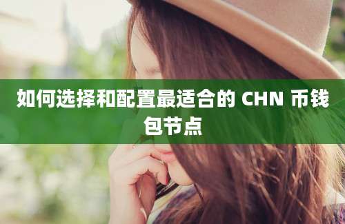 如何选择和配置最适合的 CHN 币钱包节点