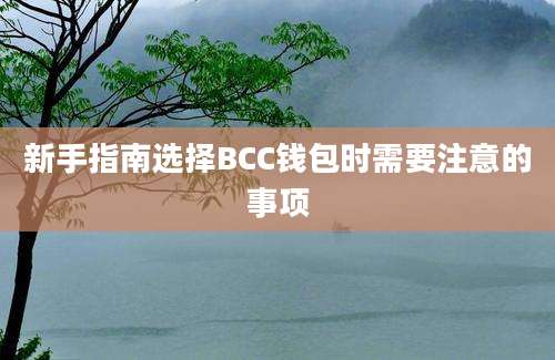 新手指南选择BCC钱包时需要注意的事项