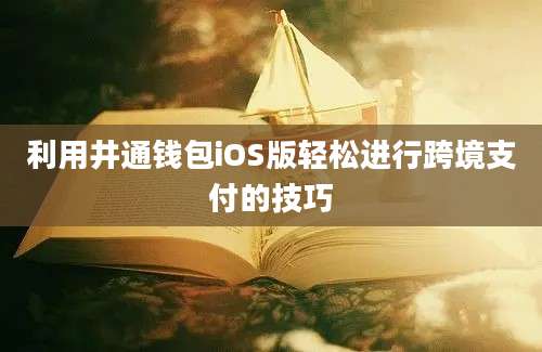 利用井通钱包iOS版轻松进行跨境支付的技巧