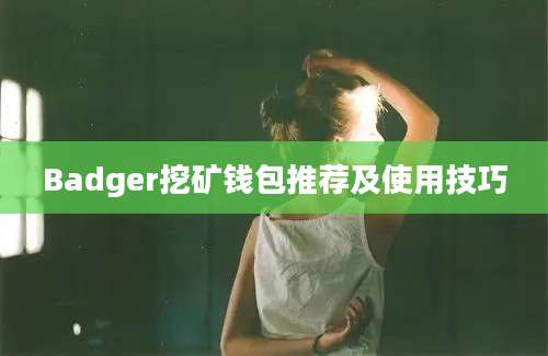 Badger挖矿钱包推荐及使用技巧